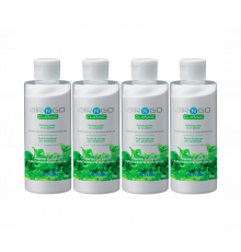 Порошок AIR-N-GO «CLASSIC» с мятным вкусом от Acteon, 4 флакона по 250 гр, F10250