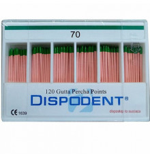 Штифты бумажные Dispodent 02 №70 (200шт)