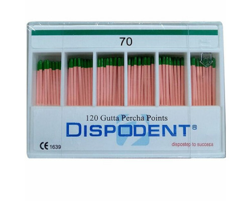 Штифты бумажные Dispodent 02 №70 (200шт)