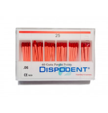 Штифты бумажные Dispodent 06 №25 (100шт)