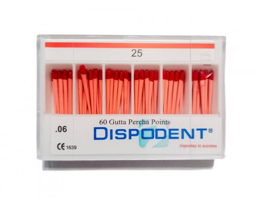 Штифты бумажные Dispodent 06 №25 (100шт)