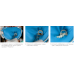 Большой набор OptiDam Posterior (ОптиДам Постериор - 60 коффердамов для жевательной группы зубов) от Kerr, арт. 5205
