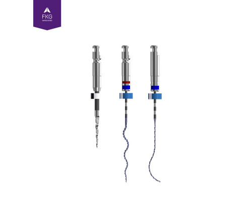 FKG XP-endo Retreatment sequence XP-endo_RS25, арт. XPR.set