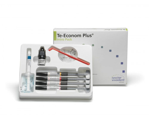 Te-Econom Plus Intro Pack 4x4g - Свет. рентгеноконтрастный гибридный композит (A2, A3, A3.5,B2)